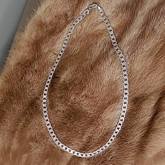 *2/$20 closet clearout* NWOT - silvertone chain - Picture 1 of 3